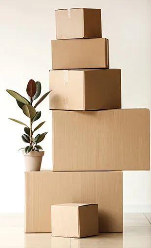 Professional Moving Company Services Near Belleville IL